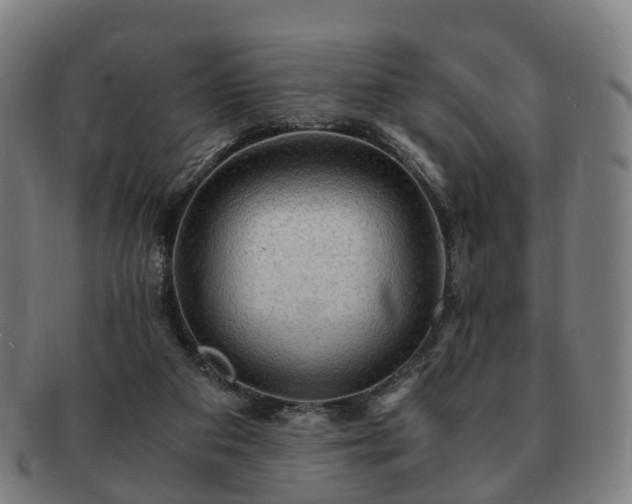 X0000091490113200708231430