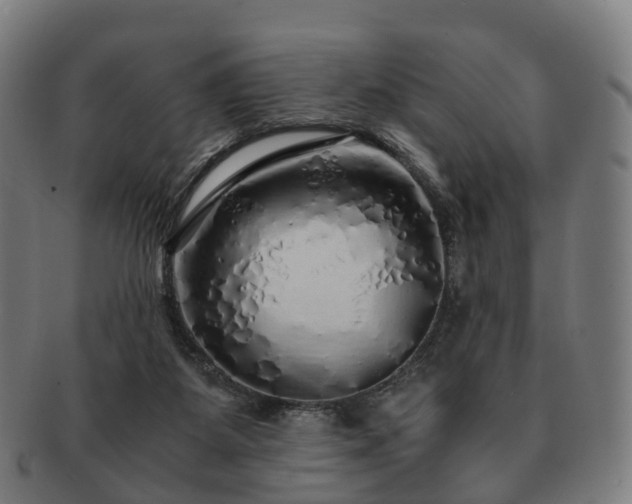 X0000091490115200708231430