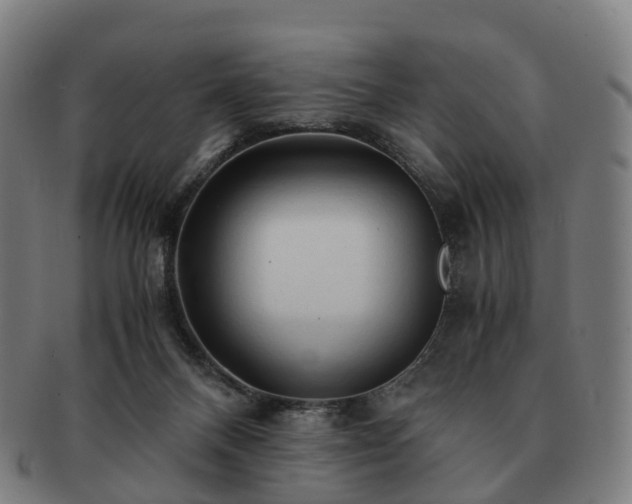 X0000091490120200708231430