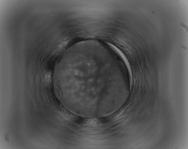 X0000091490127200708231430