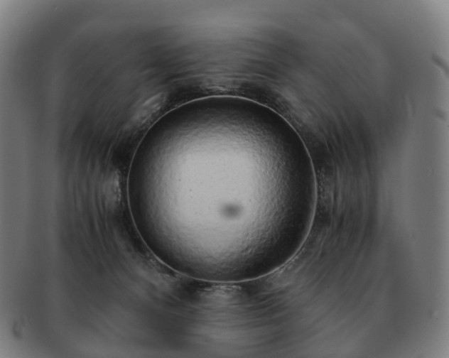 X0000091490128200708231430