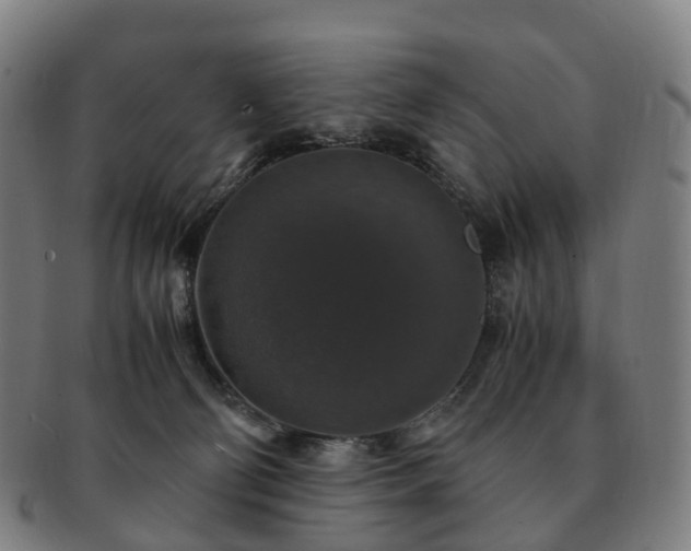 X0000091490130200708231430