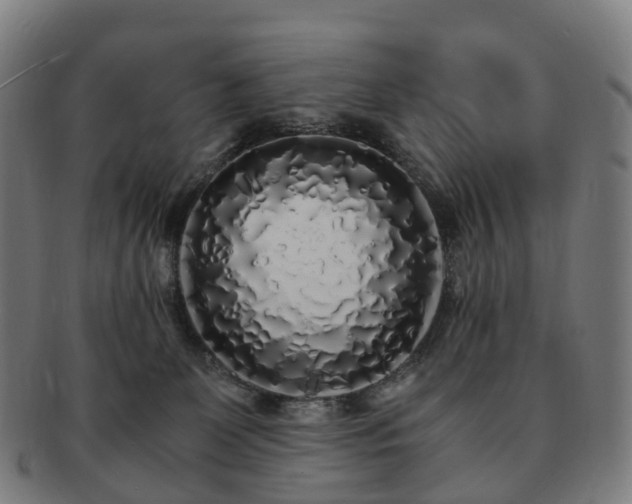 X0000091490131200708231430