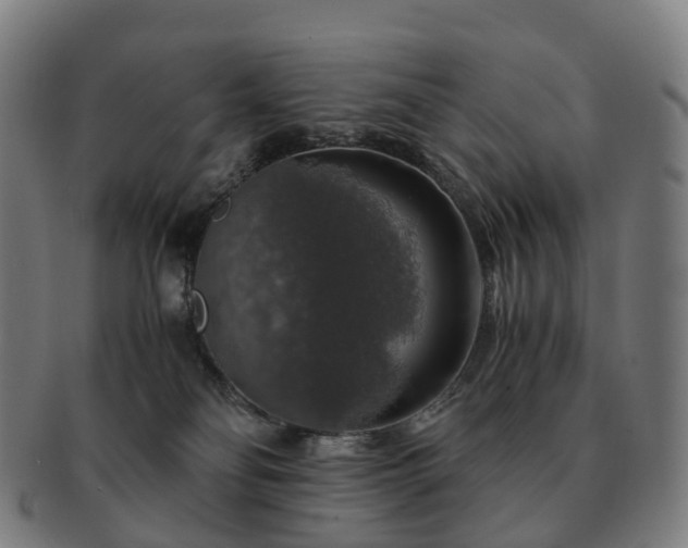 X0000091490134200708231430