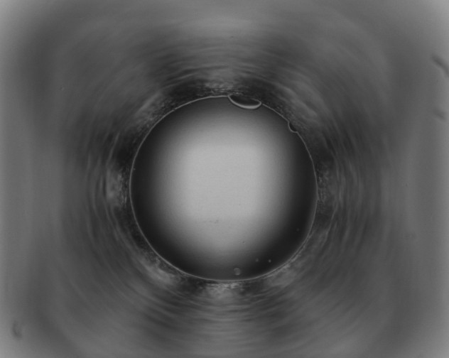 X0000091490136200708231430