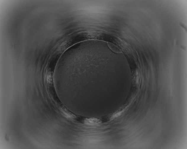 X0000091490137200708231430