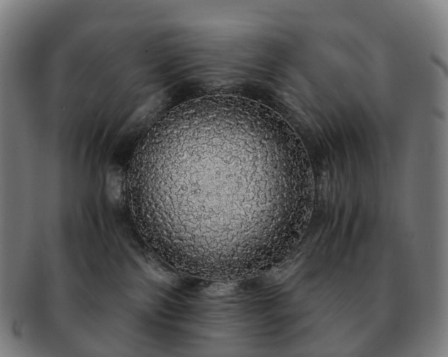 X0000091490138200708231430