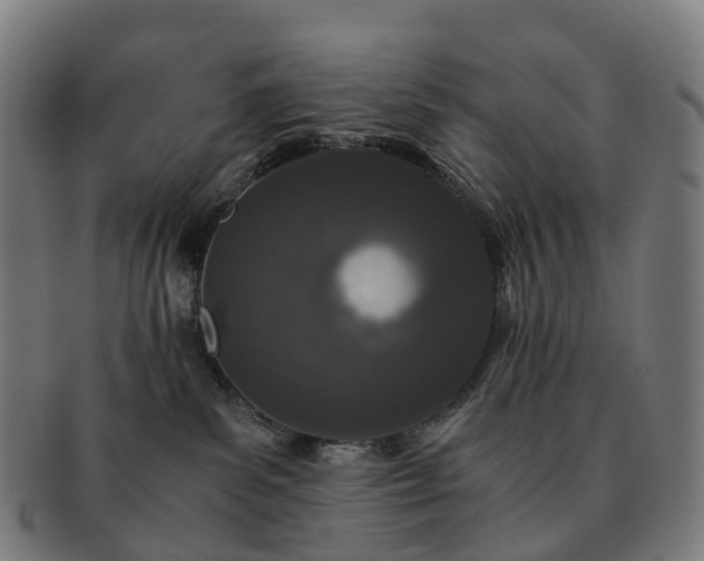 X0000091490139200708231430