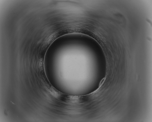 X0000091490144200708231430