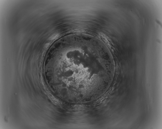 X0000091490145200708231429