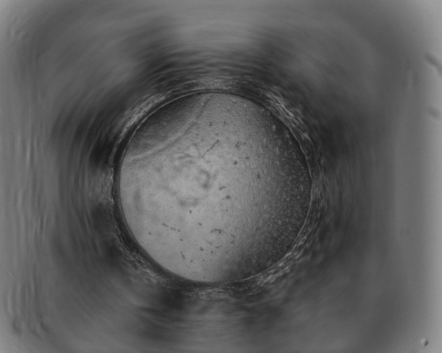 X0000091490146200708231429