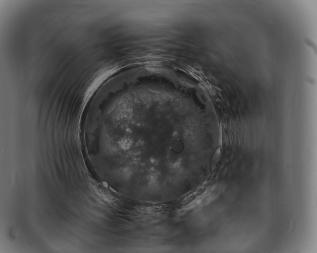 X0000091490147200708231429