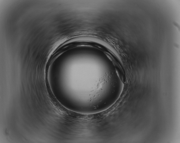 X0000091490148200708231429