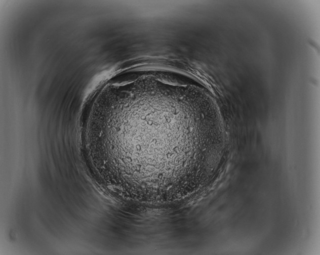 X0000091490149200708231429