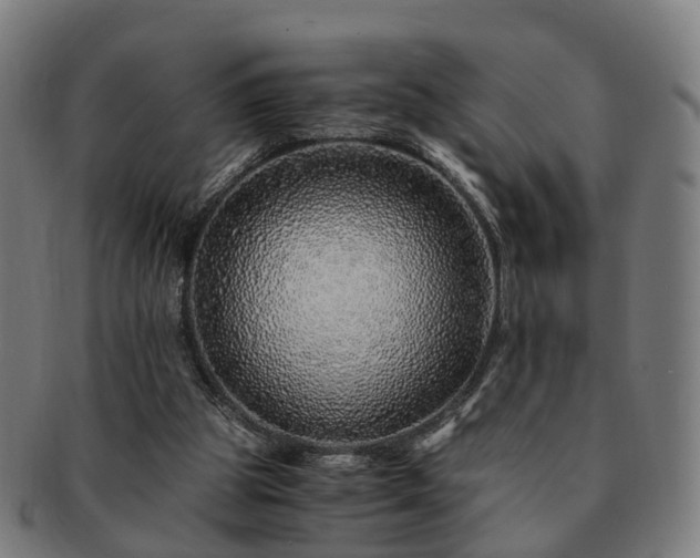 X0000091490153200708231429