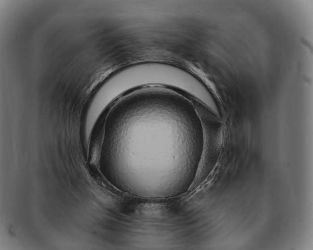 X0000091490154200708231429