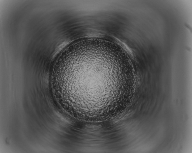 X0000091490155200708231429