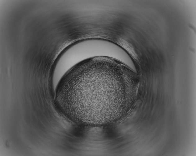 X0000091490156200708231429