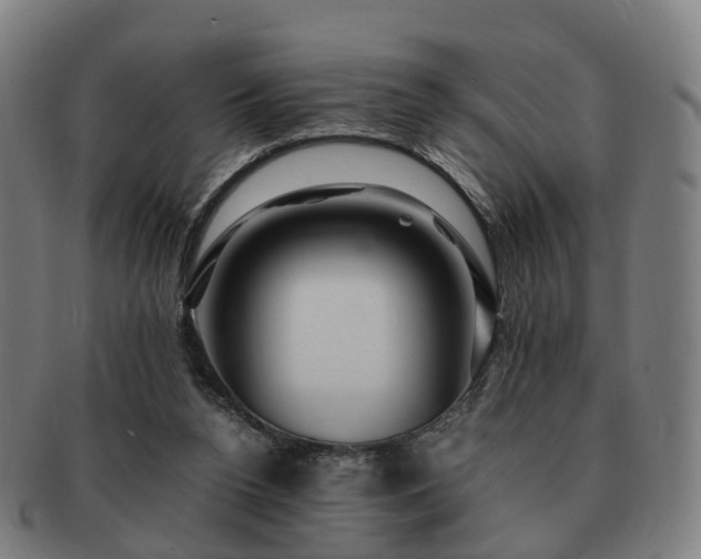 X0000091490160200708231429