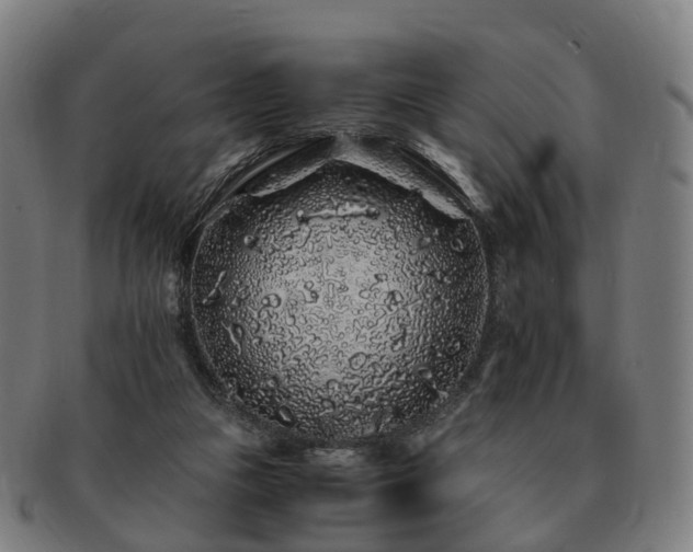 X0000091490161200708231429