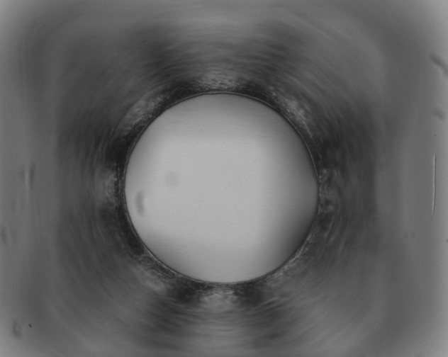 X0000091490162200708231429