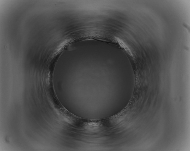 X0000091490163200708231429