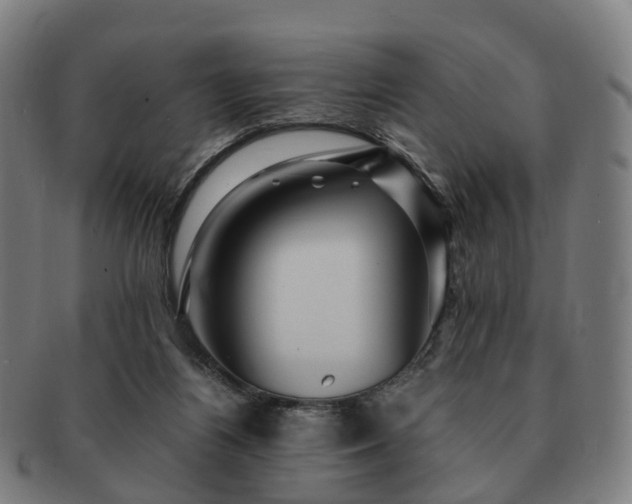 X0000091490164200708231429