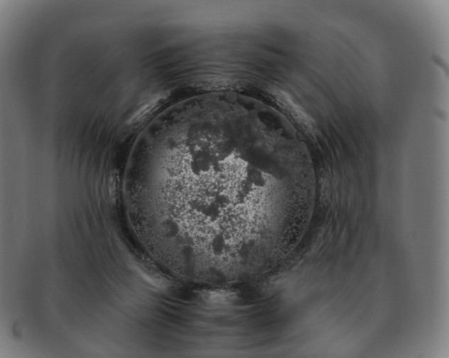 X0000091490165200708231429