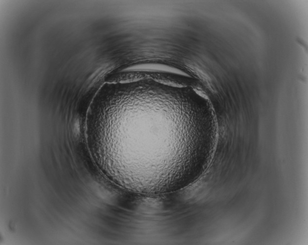 X0000091490166200708231429