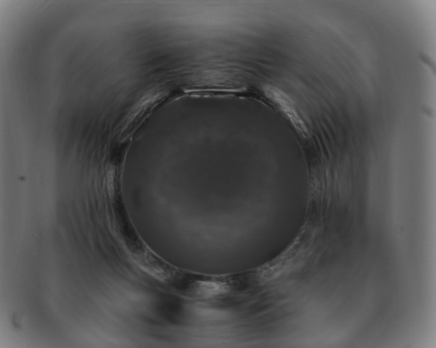 X0000091490167200708231429