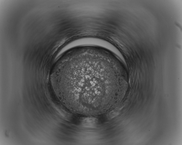 X0000091490168200708231429