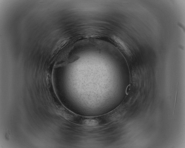 X0000091490169200708231430