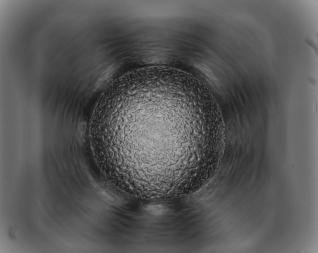 X0000091490171200708231430