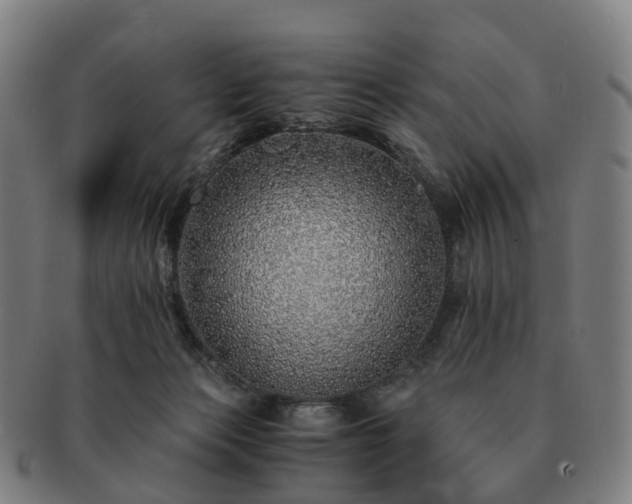 X0000091490173200708231430