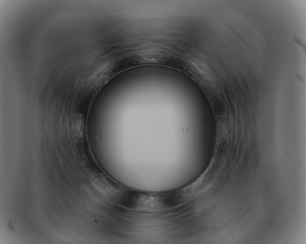 X0000091490174200708231430