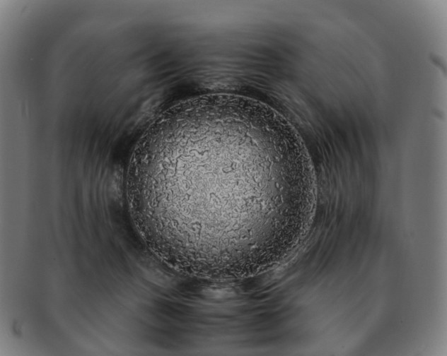 X0000091490175200708231430