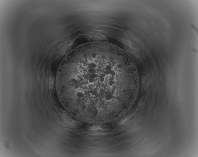 X0000091490177200708231430