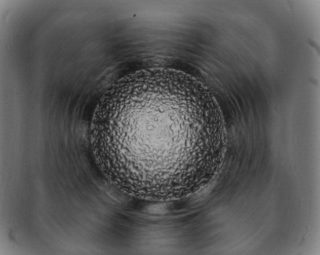 X0000091490178200708231430