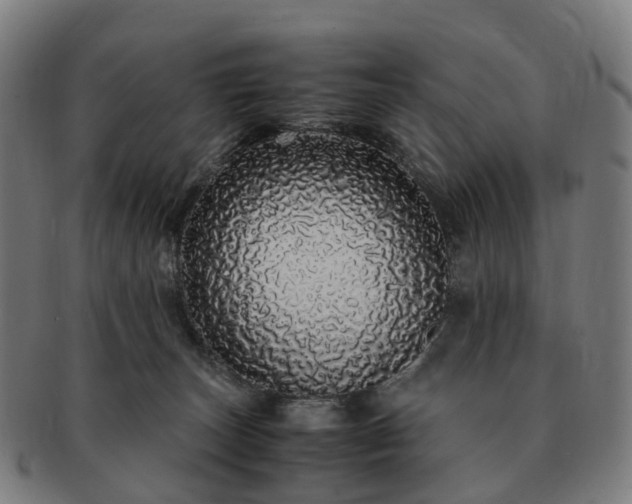 X0000091490179200708231430