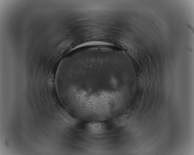 X0000091490181200708231430