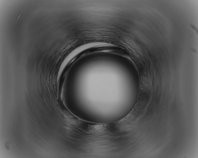 X0000091490184200708231430