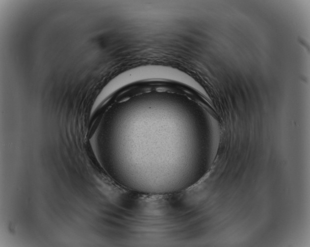 X0000091490186200708231430