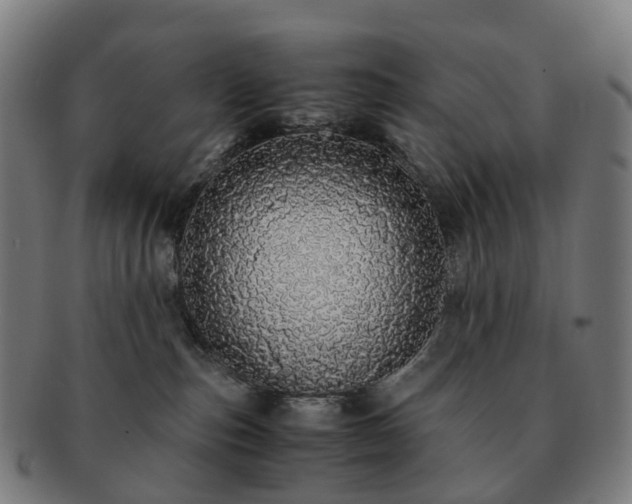 X0000091490187200708231430