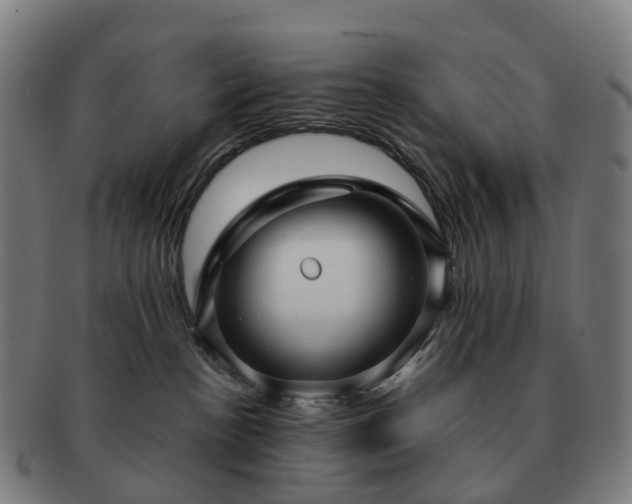 X0000091490188200708231430