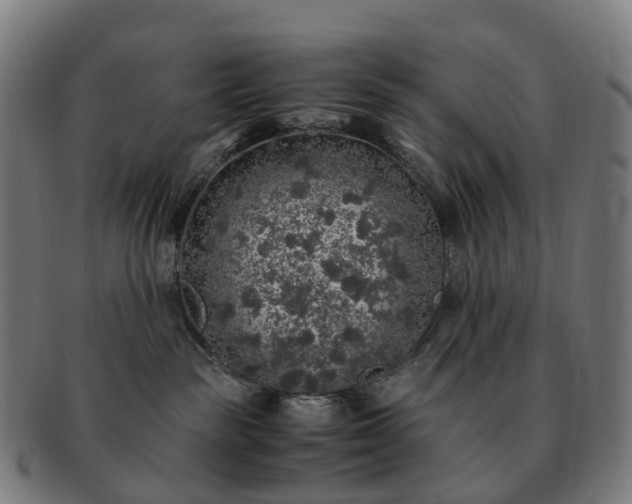 X0000091490189200708231430