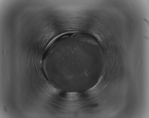 X0000091490192200708231430