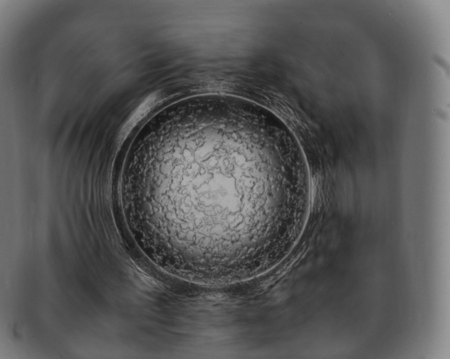 X0000091490195200708231429