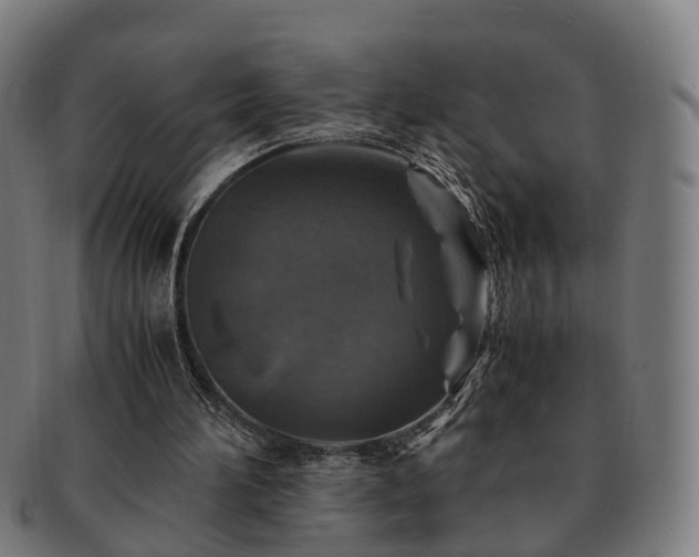 X0000091490196200708231429