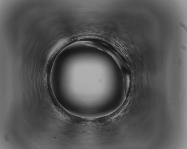 X0000091490197200708231429