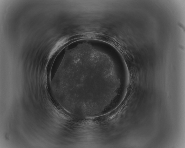 X0000091490198200708231429